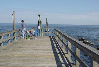 View of Beach Dock
